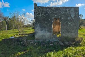 Terreno con uliveto e casetta