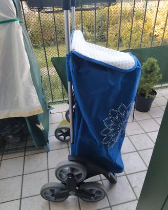 carrello spesa