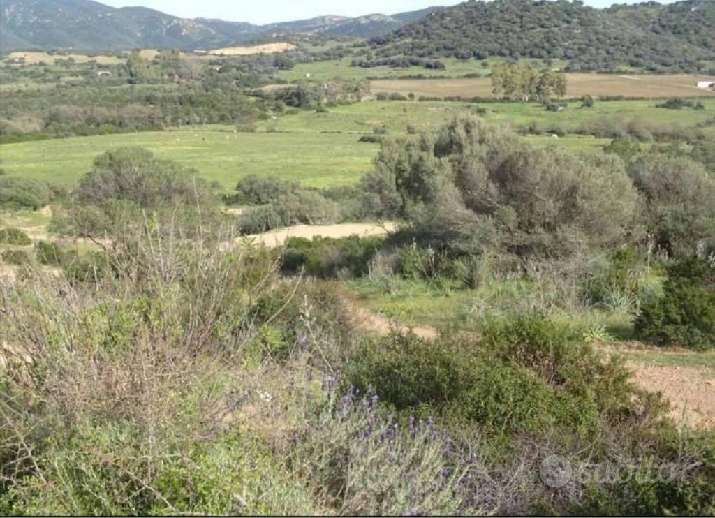 Immobile in asta di 2270 m² a Olbia - Vista 3