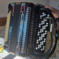 fisarmonica  musitalia