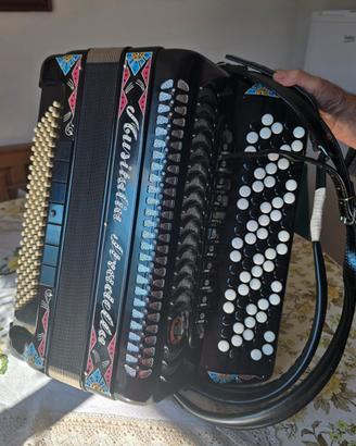fisarmonica  musitalia