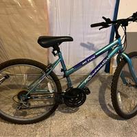 bicicletta M.T. fury roadmaster mountain bike