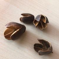 Arredo acquario terrario - baccelli bakuli