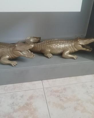 coccodrilli D'arredo
