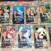 La macchina meravigliosa