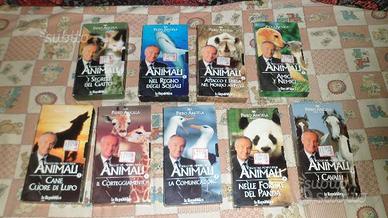 La macchina meravigliosa