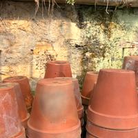 Vasi terracotta