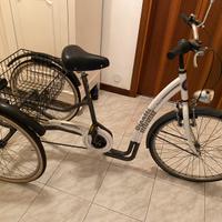 Bicicletta a tre ruote