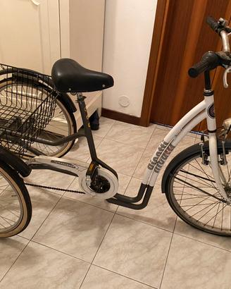 Bicicletta a tre ruote