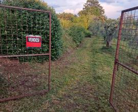 Terreno agricolo