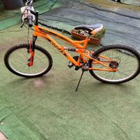 bici mai utilizzata 