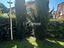 Immagine 26