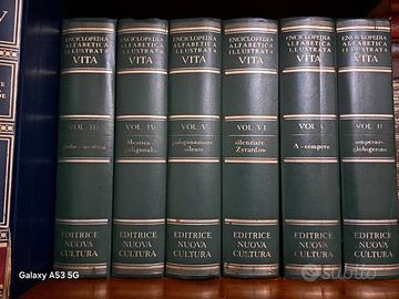 Alfabetica Illustrata VITA