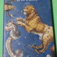 Gli dei di pietra. Jeanette Winterson.