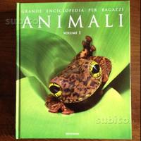 Grande enciclopedia per ragazzi vol I