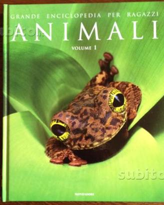 Grande enciclopedia per ragazzi vol I