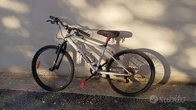 bicicletta ragazzi 