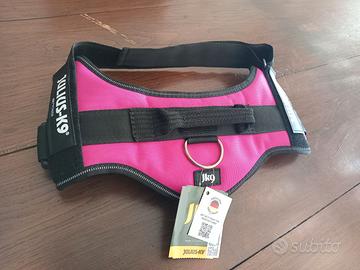 Pettorina e guinzaglieria nuova