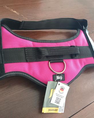 Pettorina e guinzaglieria nuova