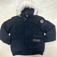 Canada goose