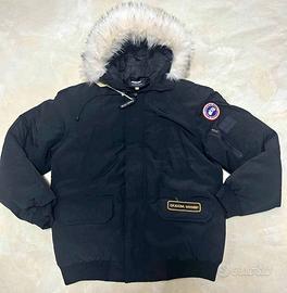 Canada goose