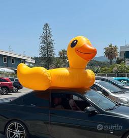 Papera gigante 3m x3