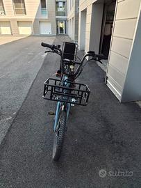 ebaike cargobike
