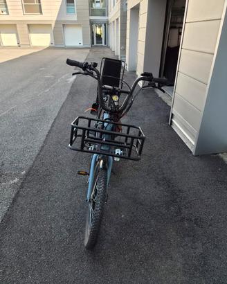 ebaike cargobike