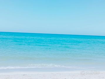 Platamona trasfertisti