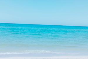 Platamona trasfertisti