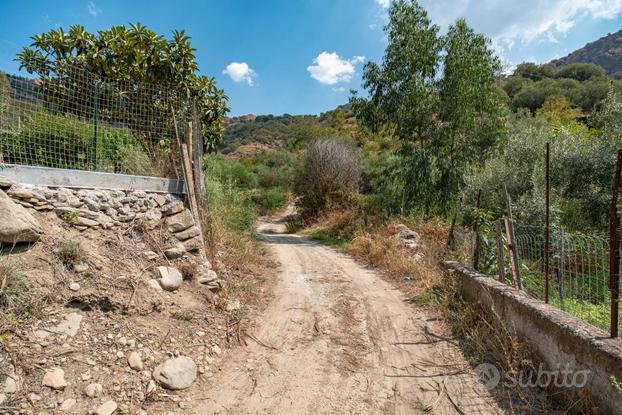 Terreno agricolo - Gaggi