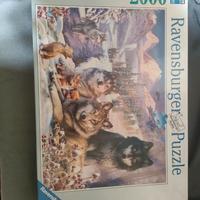 Puzzle (2000pezzi)