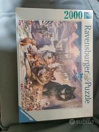 Puzzle (2000pezzi)
