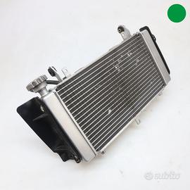 Radiatore acqua BENELLI TRK 502