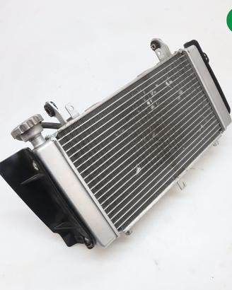 Radiatore acqua BENELLI TRK 502