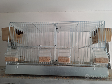 Gabbia Nuova 65cm S.cambio