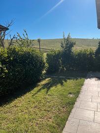 X ditte e aziende zona Baraccola 5 posti letto