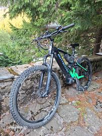 Ebike Bottecchia