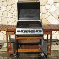Barbecue a gas foppapedretti
