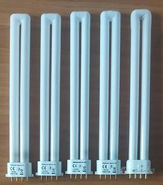 Neon Radium - Osram Dulux S/E 11W/840 per Lam. Em