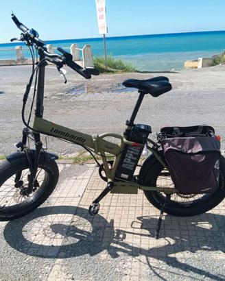 Bicicletta assistita Lombardo 