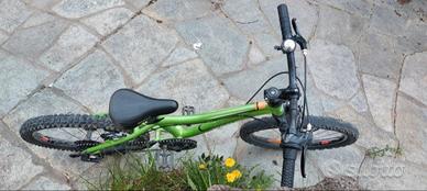bicicletta bambino