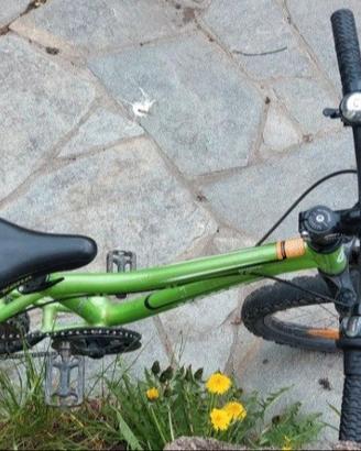 bicicletta bambino