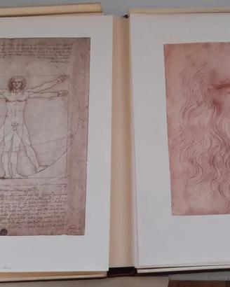 Leonardo da Vinci - Disegni di Leonardo