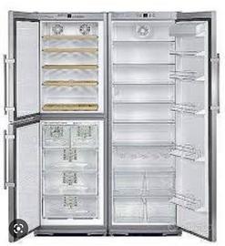 Liebheer Frigorifero Professionale Combinato