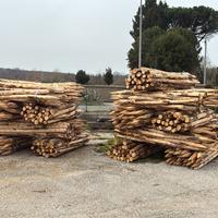 Pali di castagno
