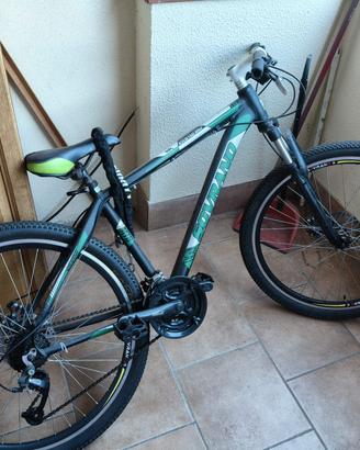 2 bici mountain bike