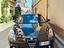Immagine 2