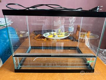 Terrario 50x35 + tappetino riscaldante
