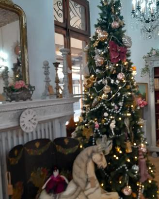 Albero natale EDG